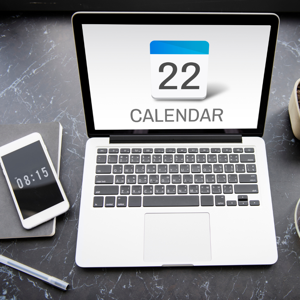 Programari online integrate in website