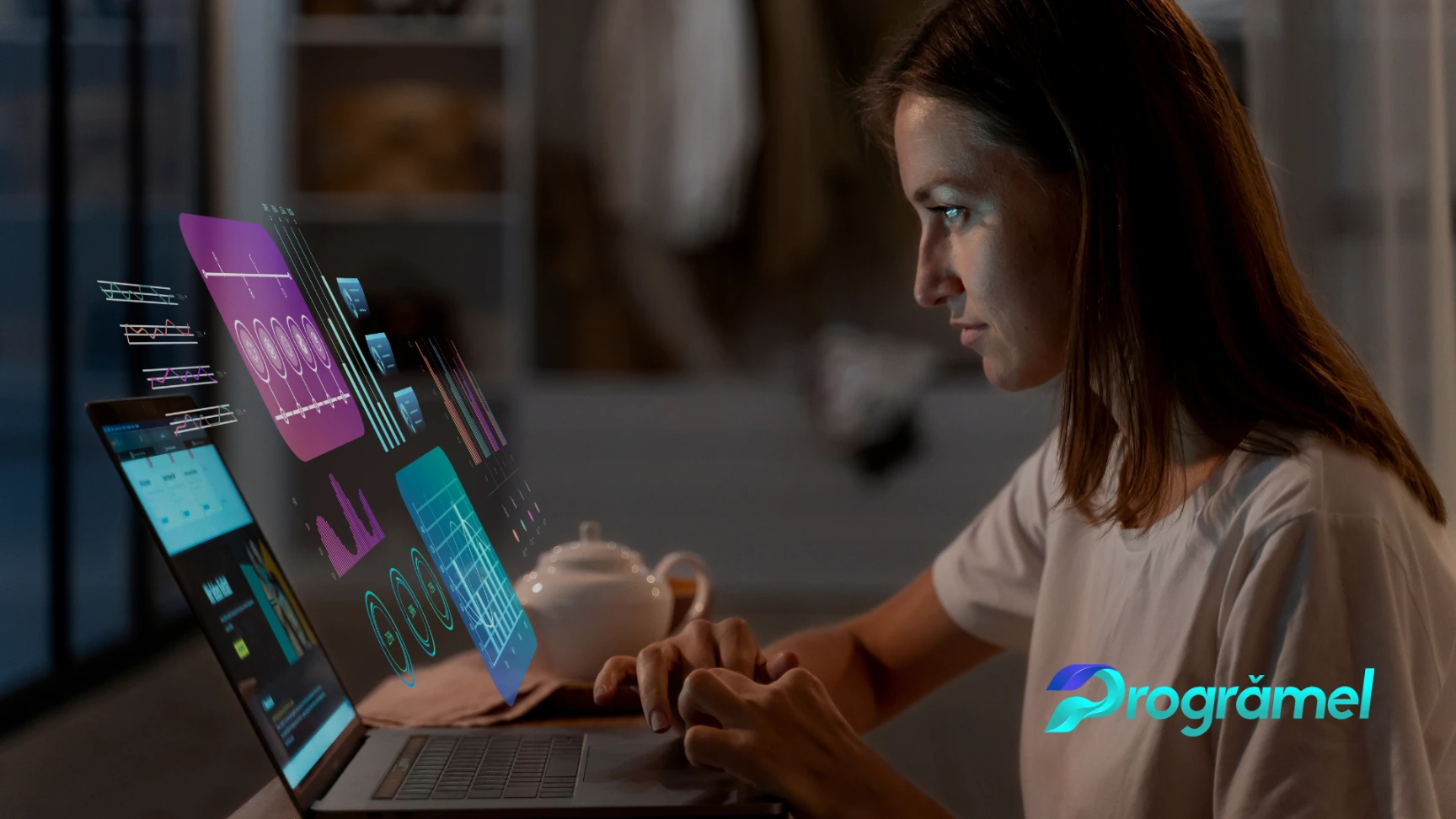 Software Programari Romania