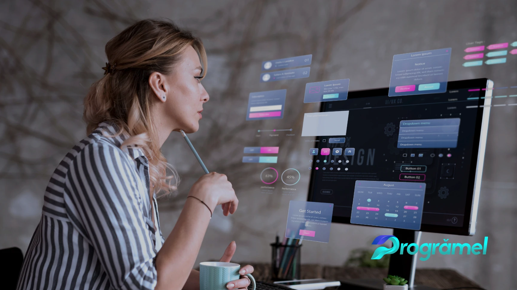 Software Programari Romania